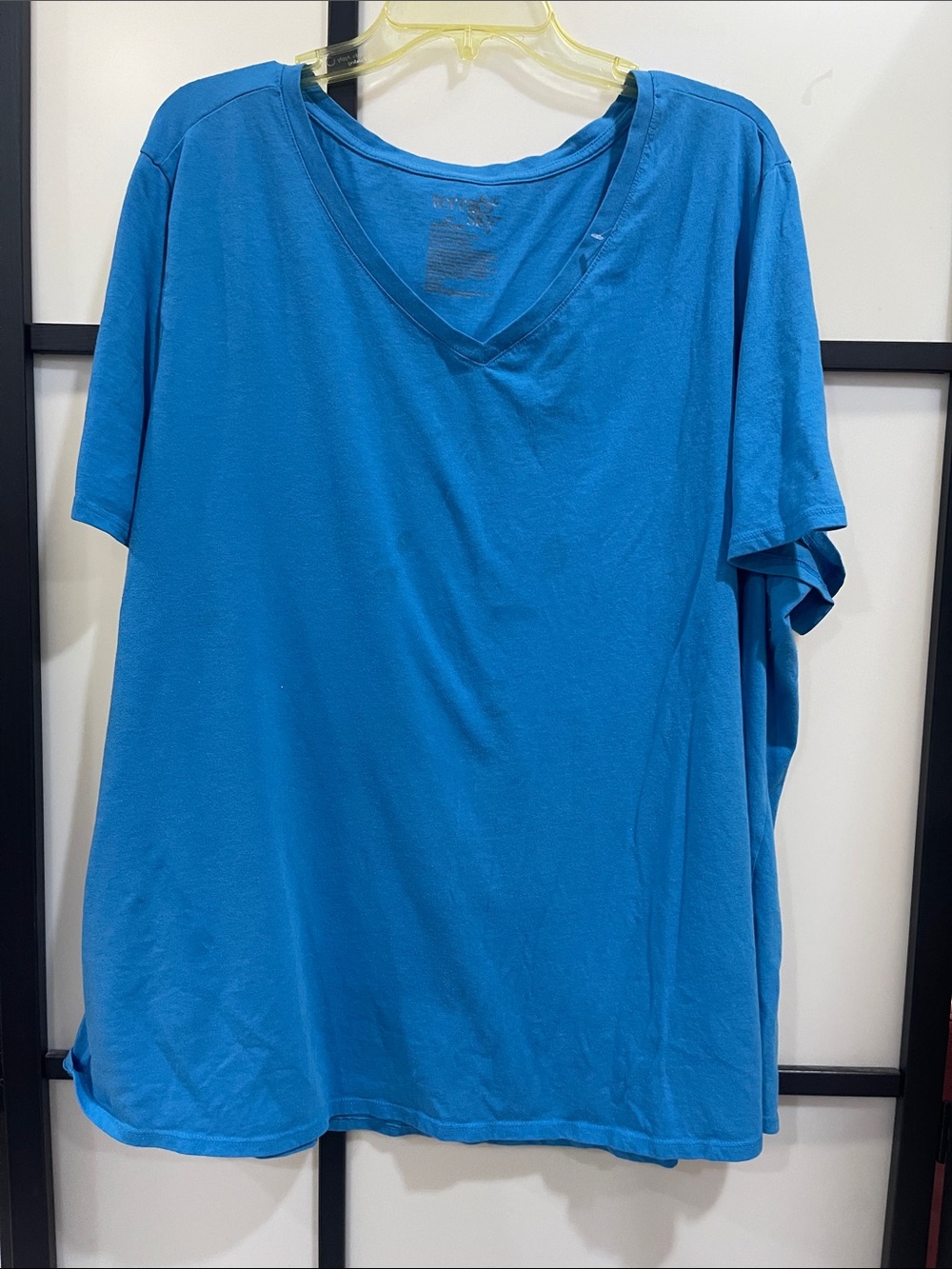 Terra & Sky Men's V-Neck Tee in Bright Blue